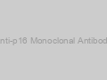 Anti-p16 Monoclonal Antibody